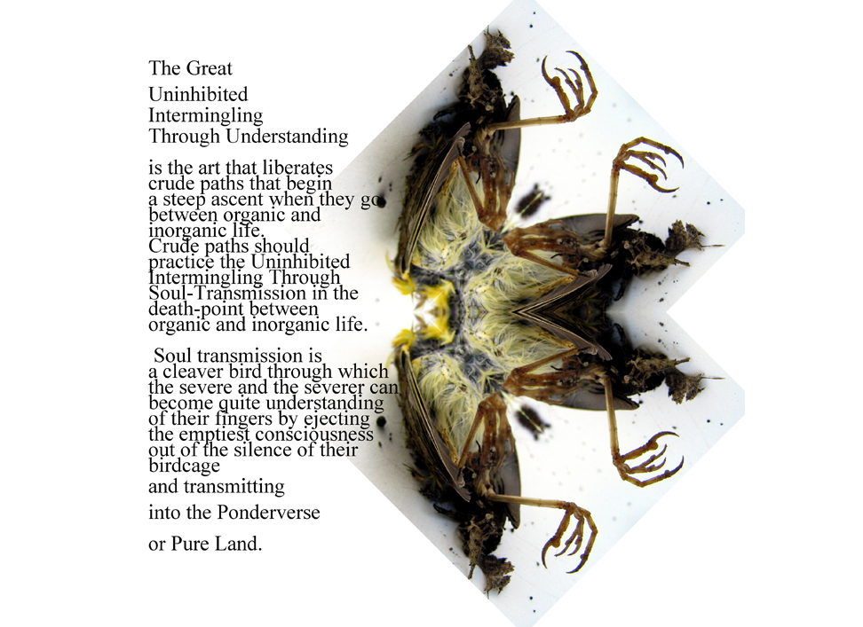 freedon through understanding